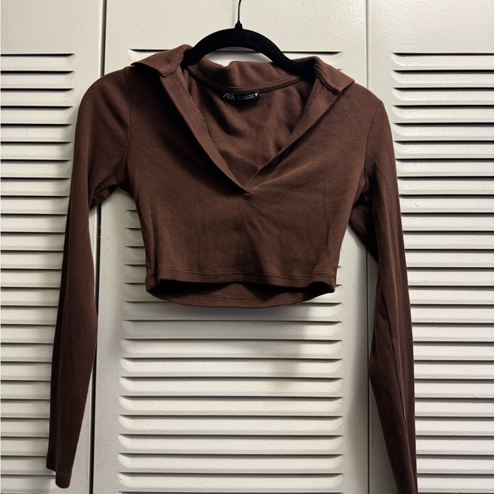 Zara Brown Long Sleeve Crop Top